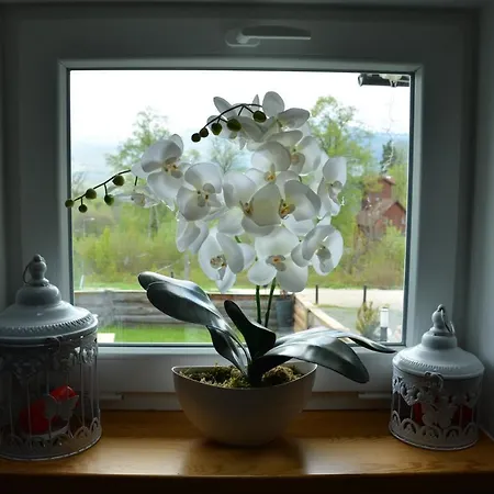 I Pokoje Goscinne Ala